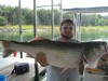 (07/28/2016) - Nice Striped Bass
